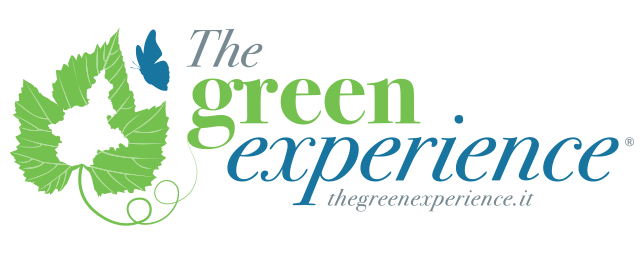 The Green Experience Logo