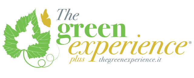 The Green Experience Plus Logo